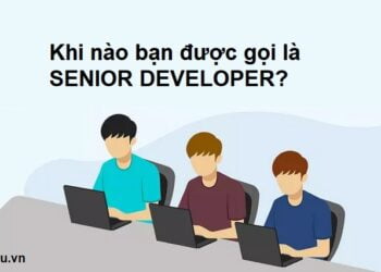 Senior developer