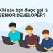 Senior developer